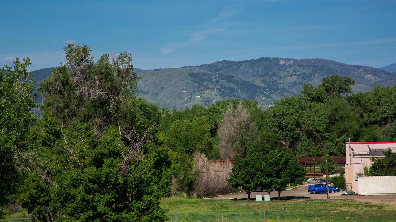 Photo of Outdoor in Old Town North