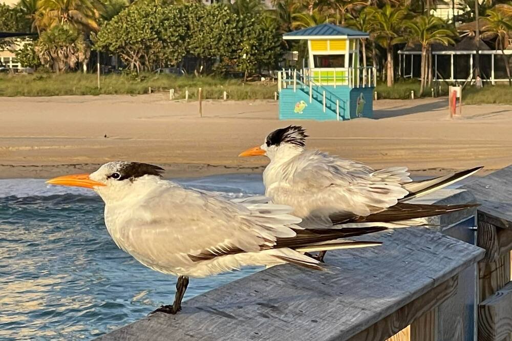 Photo of Others in Santa Barbara Estates