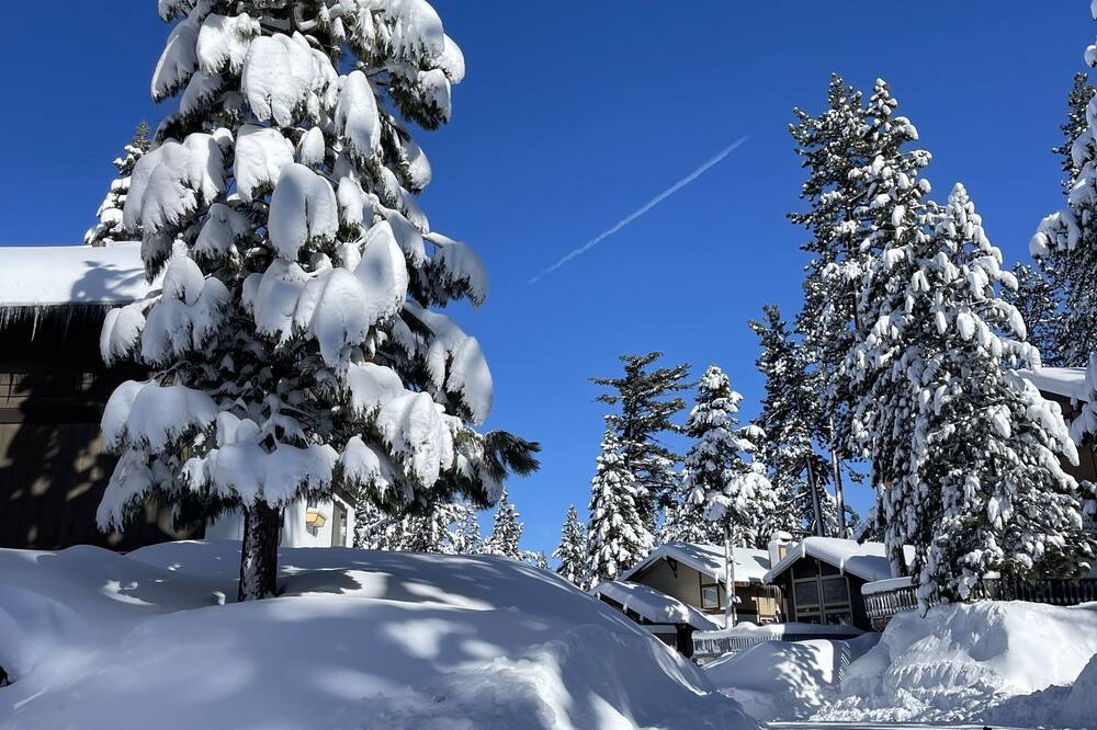 Photo of Others in South Lake Tahoe