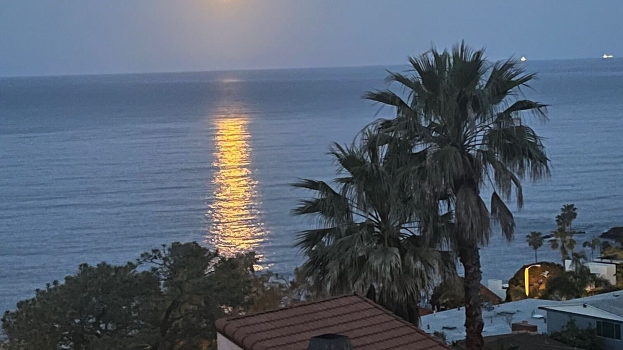 Photo of Outdoor in Laguna Beach