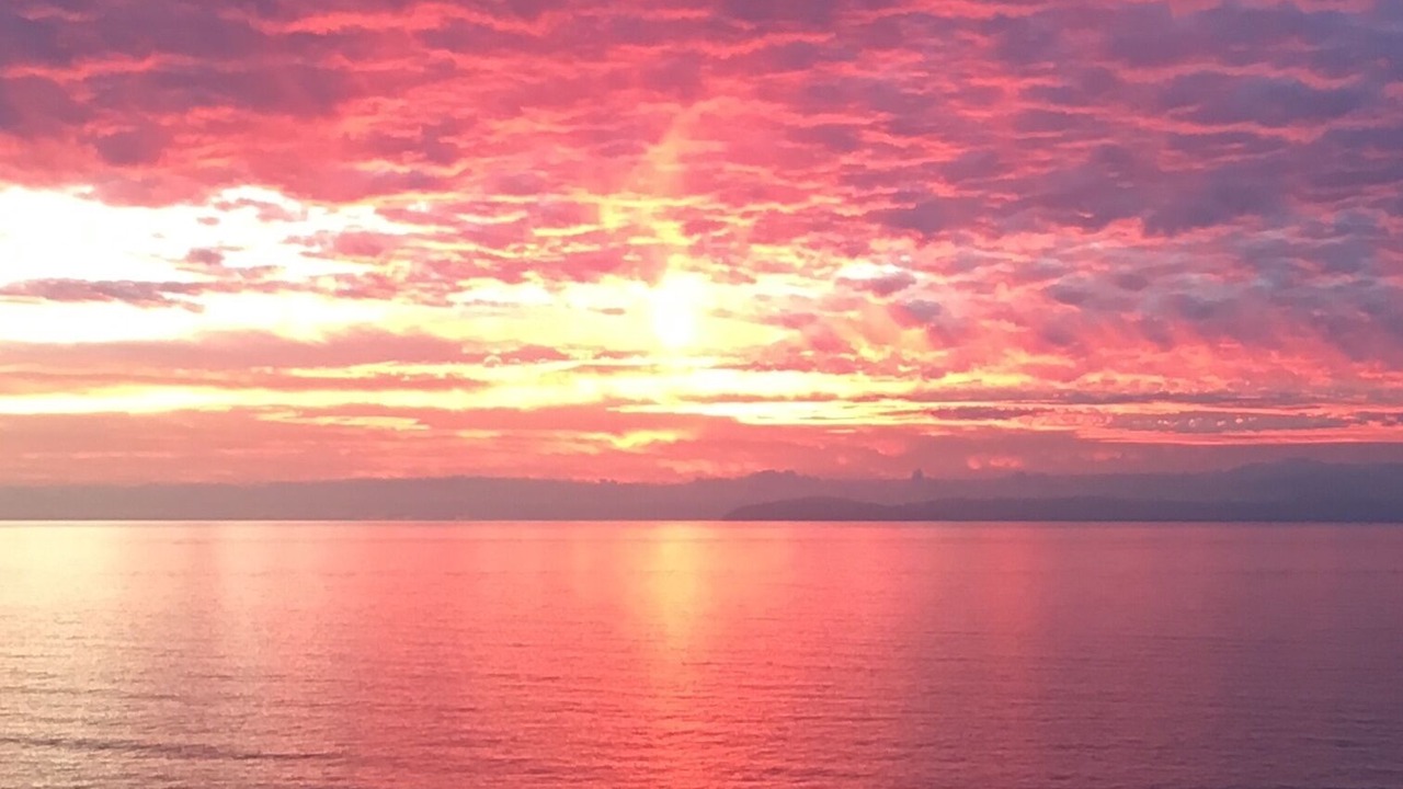 Photo of Others in Laguna Beach