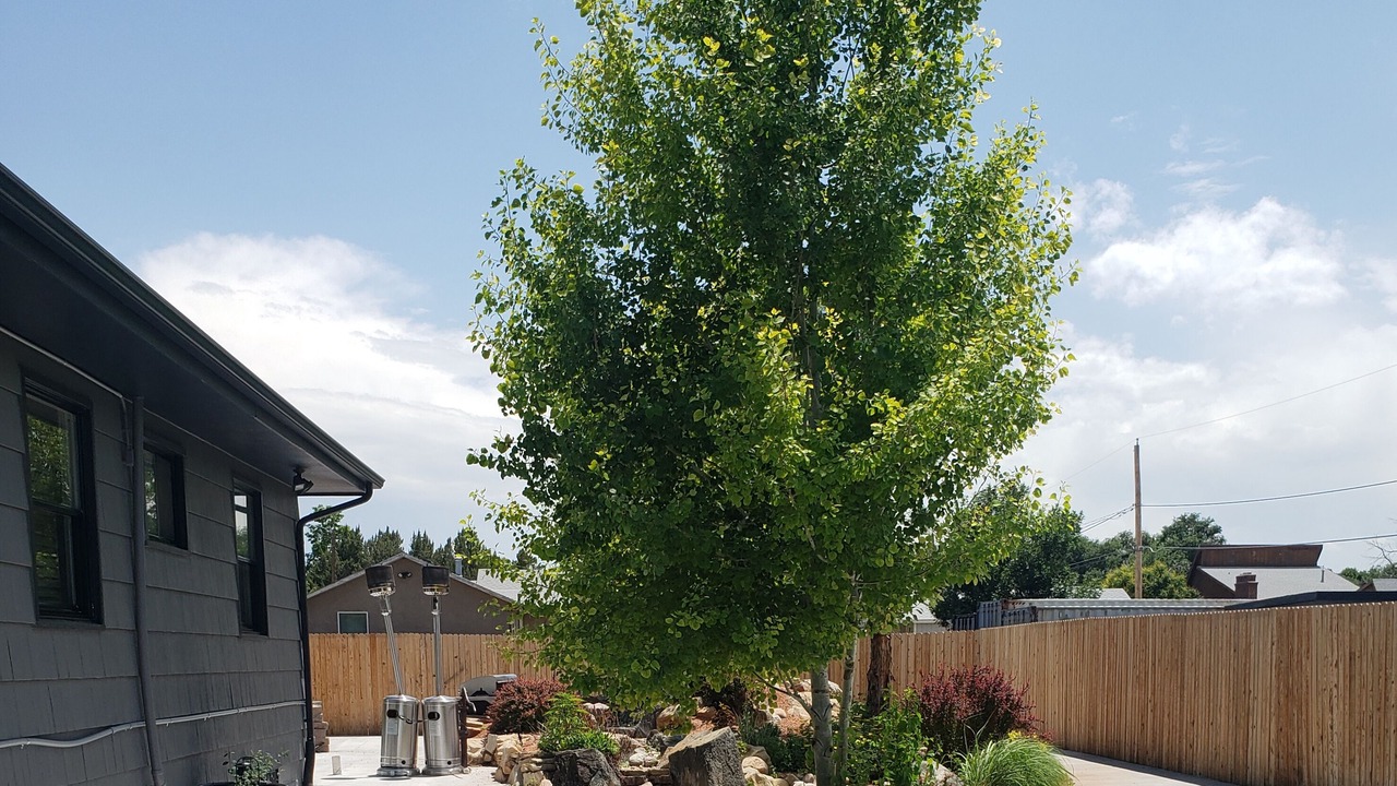 Photo of Outdoor in Sunnyheights