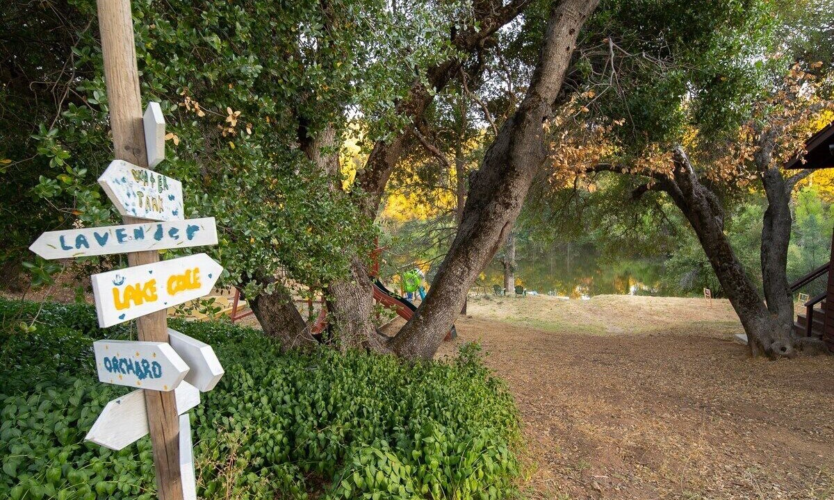 Photo of Outdoor in Midpines