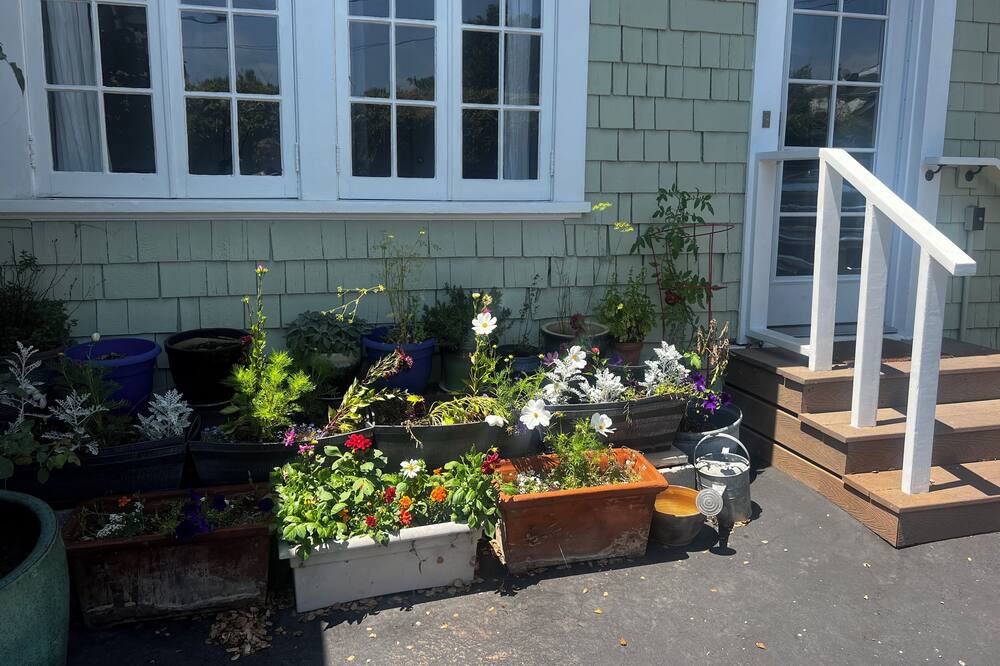 Photo of Outdoor in Oak Park