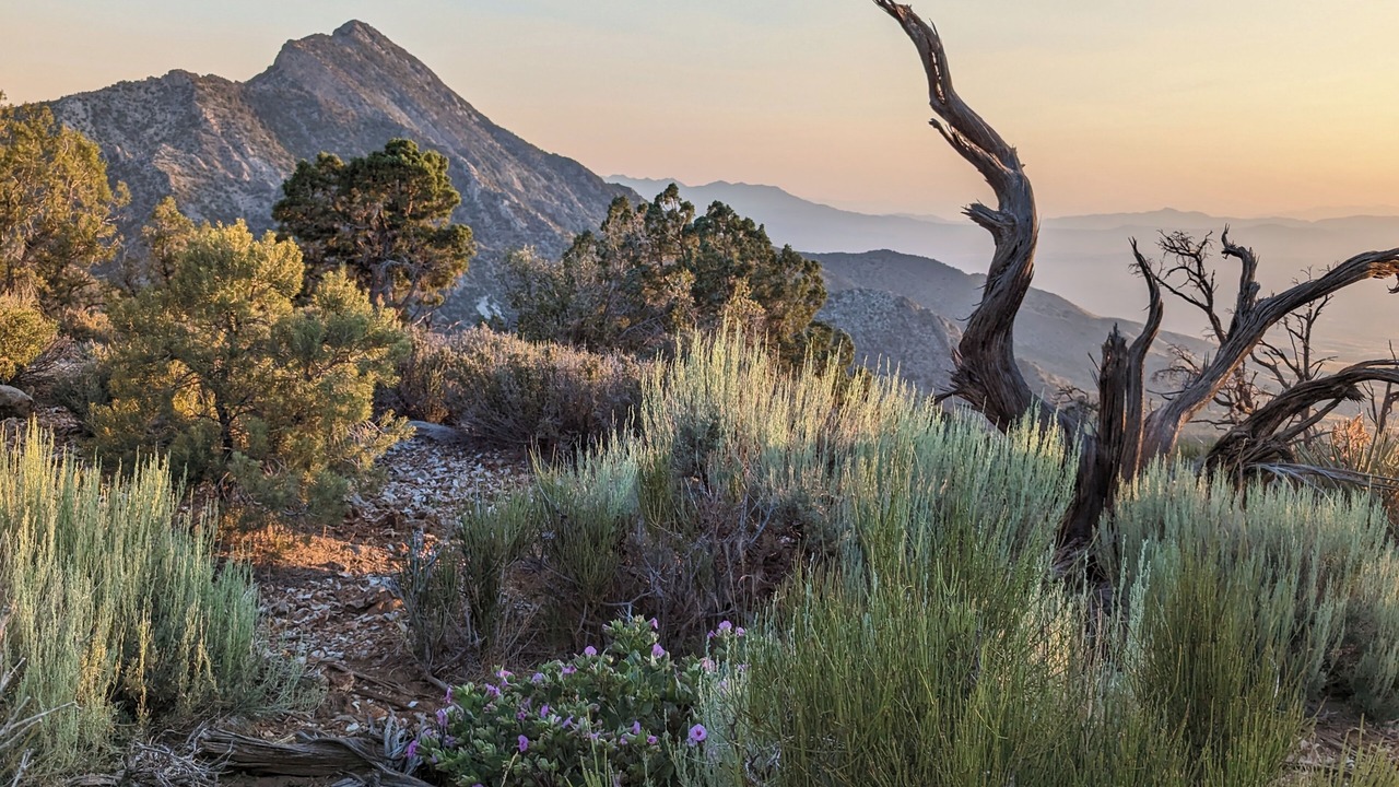 Photo of Others in Mount Charleston
