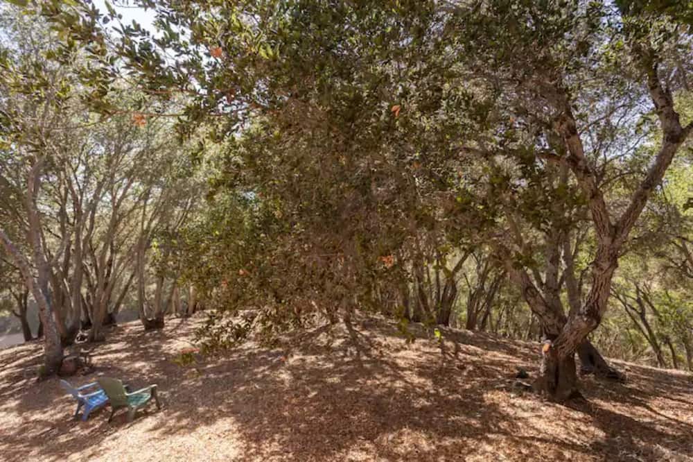 Photo of Outdoor in Paso Robles