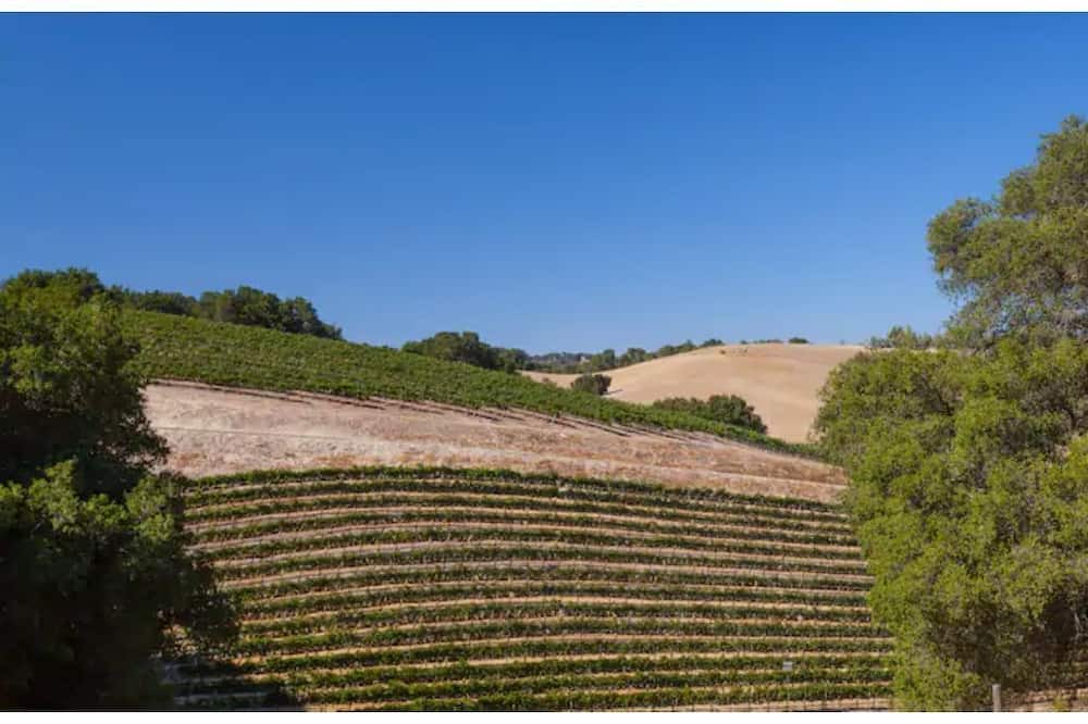 Photo of Outdoor in Paso Robles