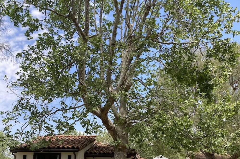 Photo of Outdoor in Solvang