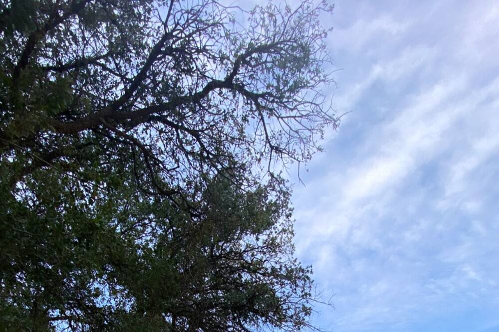 Photo of Outdoor in Wofford Heights