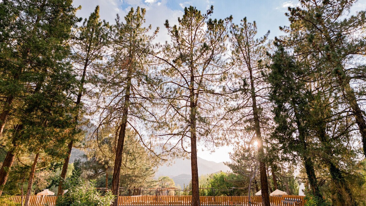 Photo of Outdoor in Paradise Springs