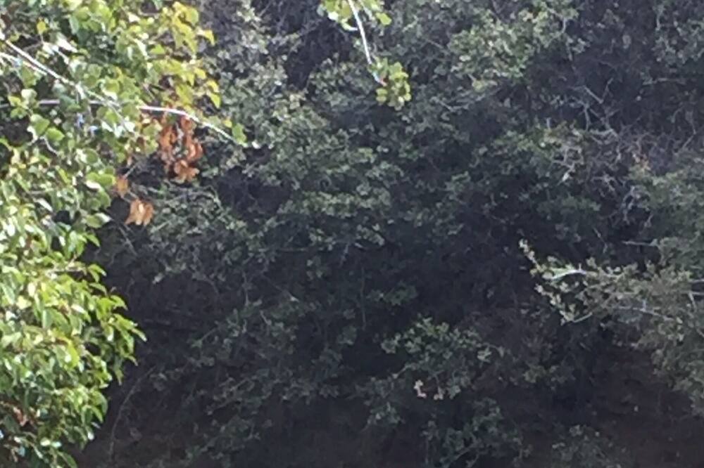 Photo of Outdoor in Lake Hughes