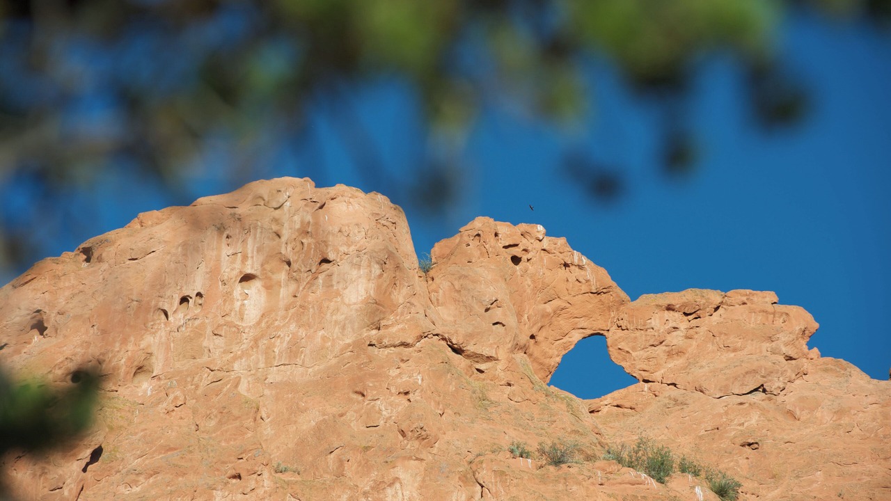 Photo of Others in Northeast Colorado Springs