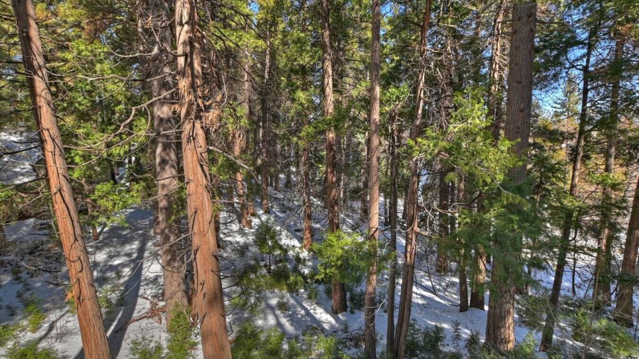 Photo of Outdoor in Lake Arrowhead
