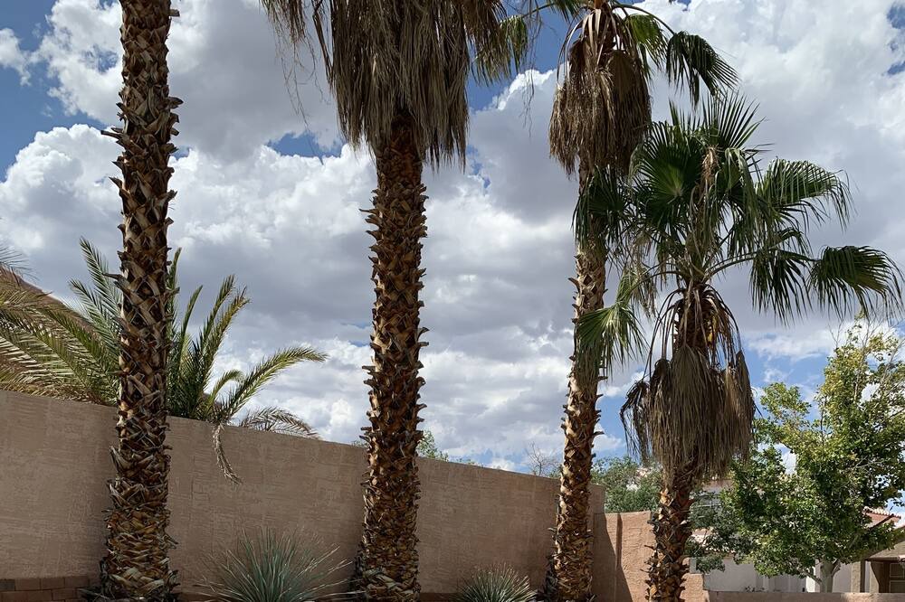 Photo of Outdoor in Summerlin