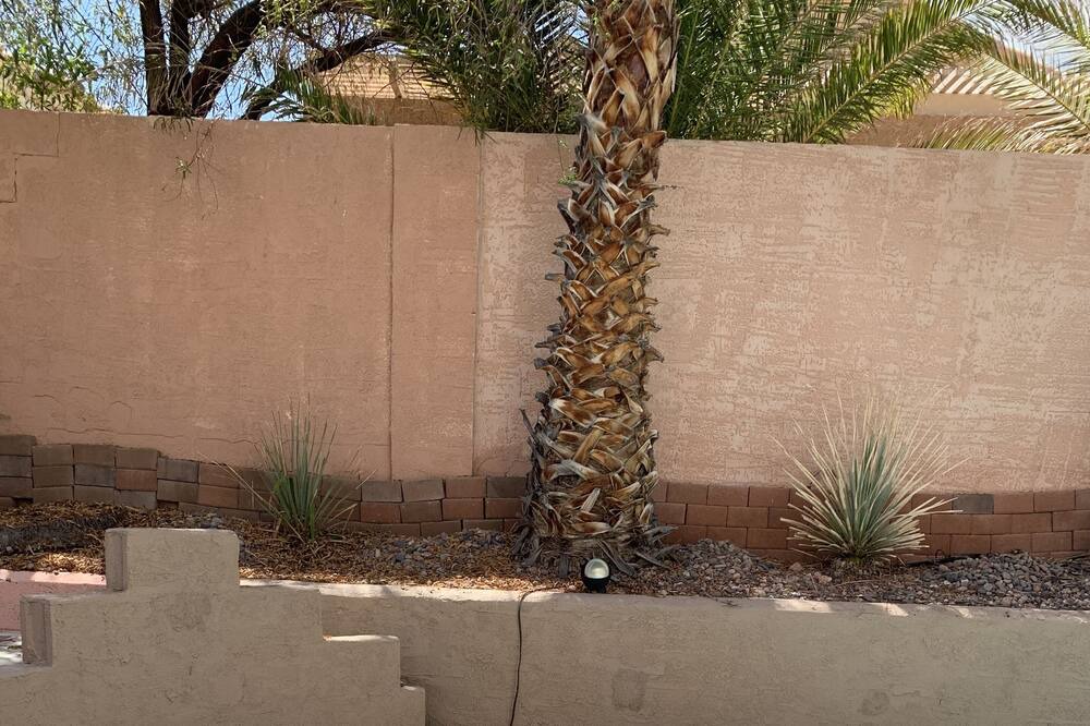 Photo of Others in Summerlin