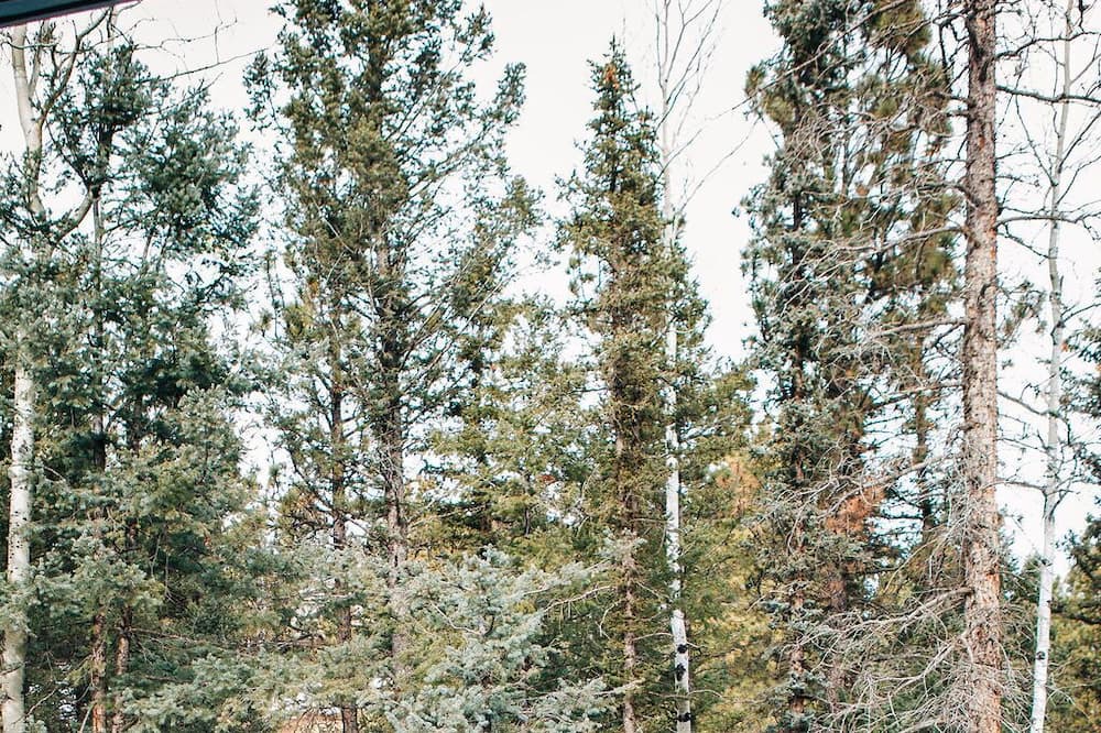 Photo of Outdoor in Spring Valley