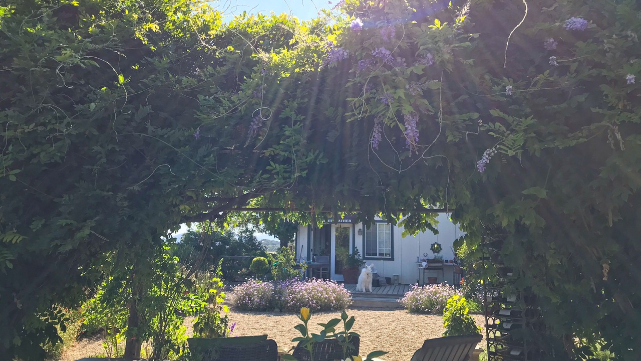 Photo of Outdoor in Solvang
