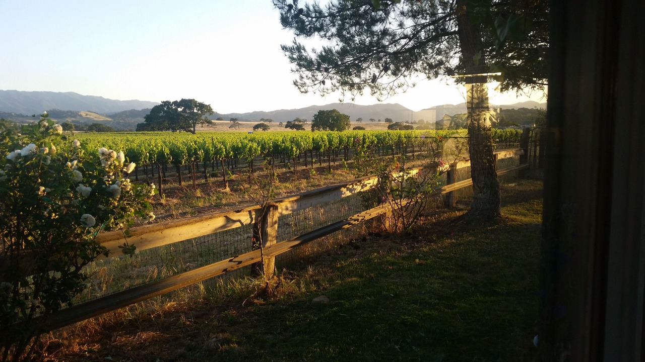 Photo of Outdoor in Solvang