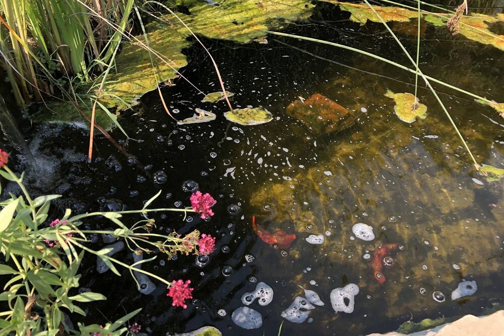 Photo of Outdoor in Santa Ynez