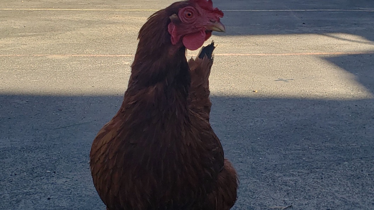 Photo of Outdoor in Austin