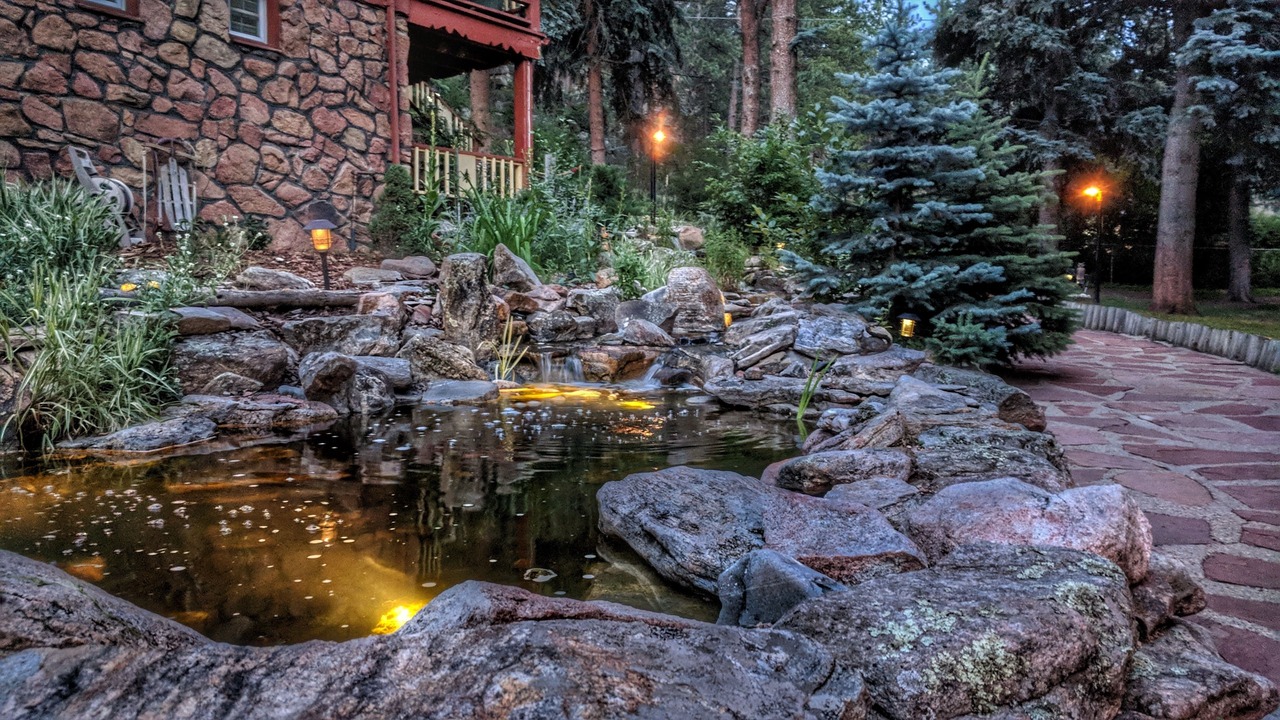 Photo of Outdoor in Evergreen
