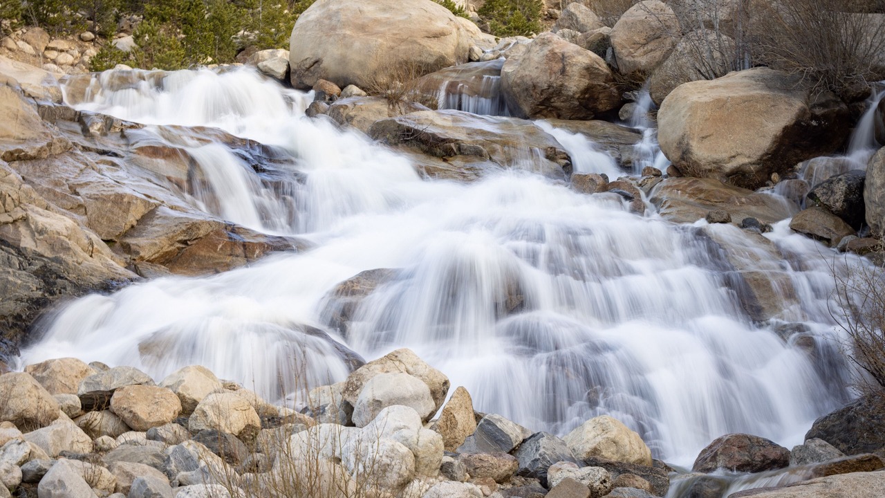 Photo of Others in Estes Park
