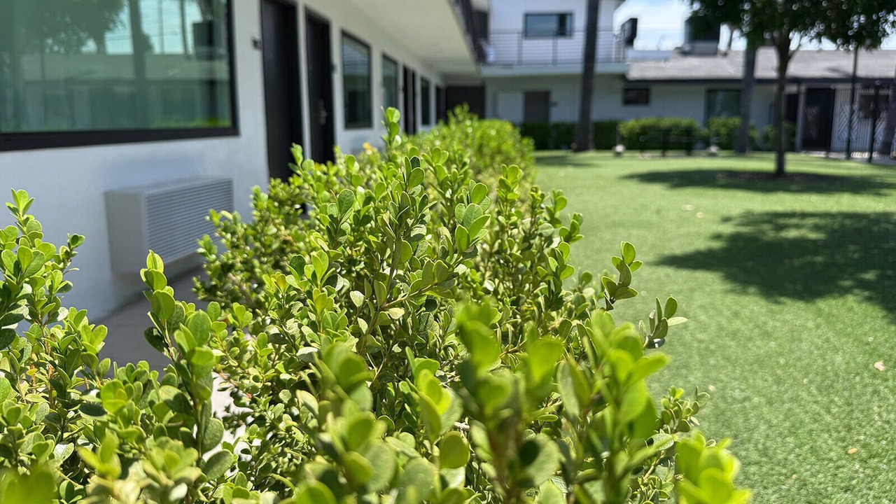 Photo of Outdoor in Van Nuys