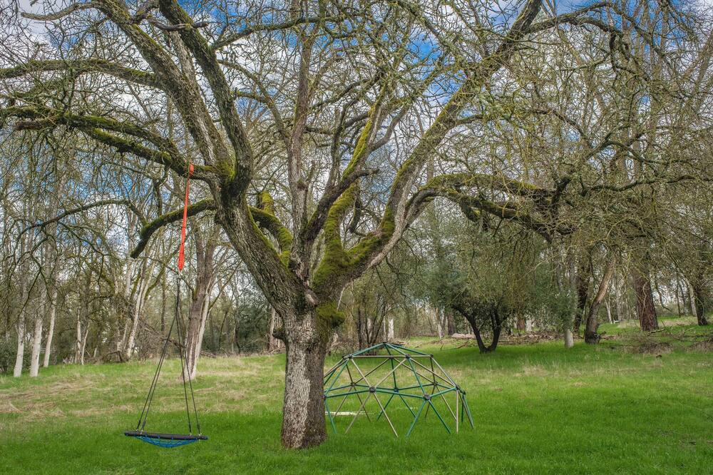 Photo of Others in Mariposa
