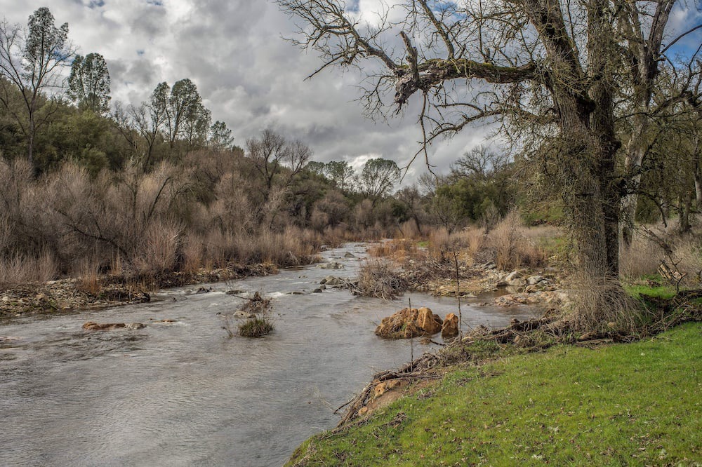 Photo of Others in Mariposa