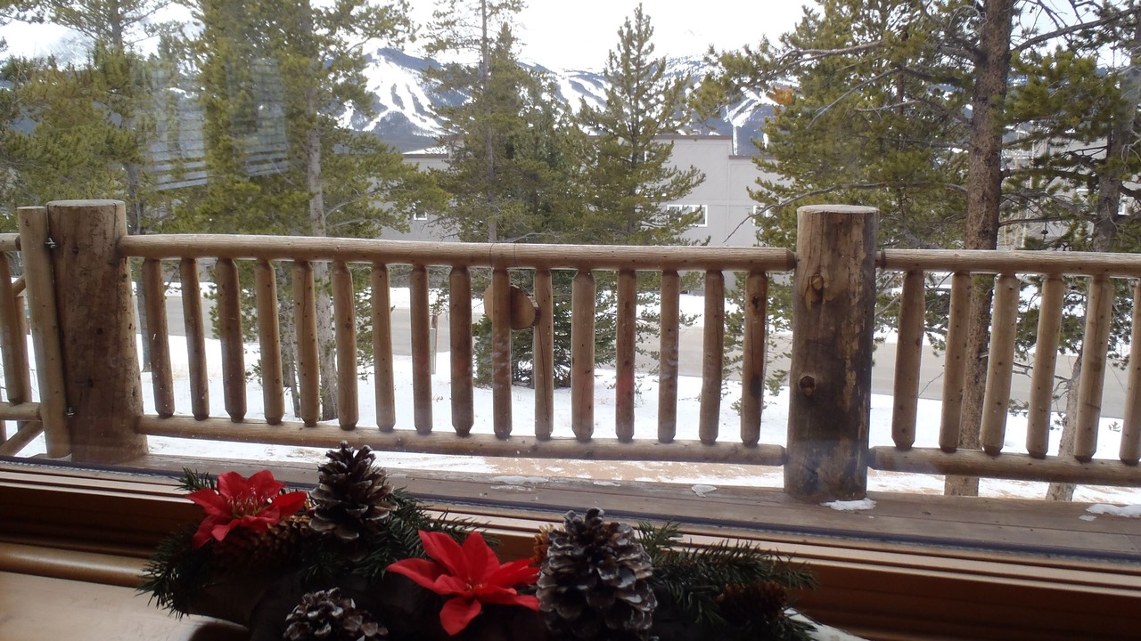 Photo of Outdoor in Woodmoor