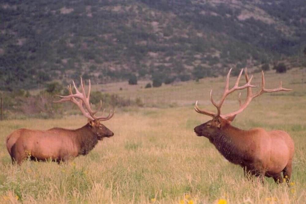 Photo of Others in Spring Valley