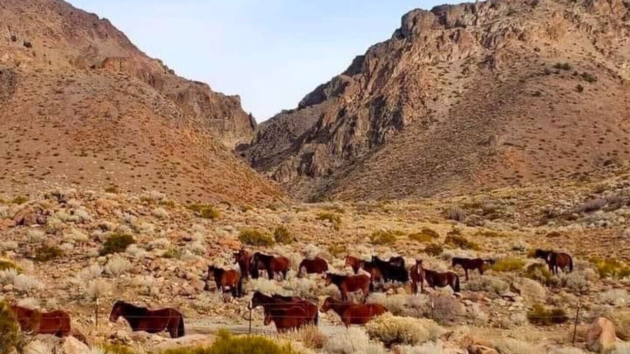 Photo of Others in Reno