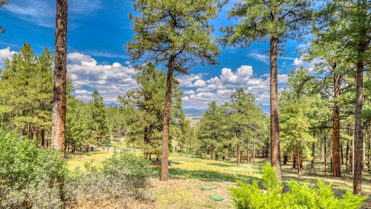 Photo of Others in Pagosa Springs