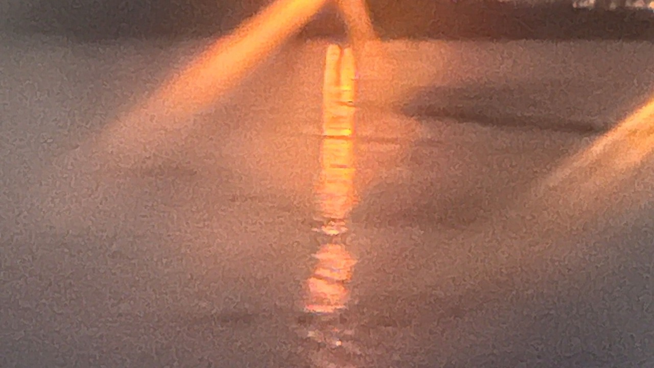 Photo of Others in Needles