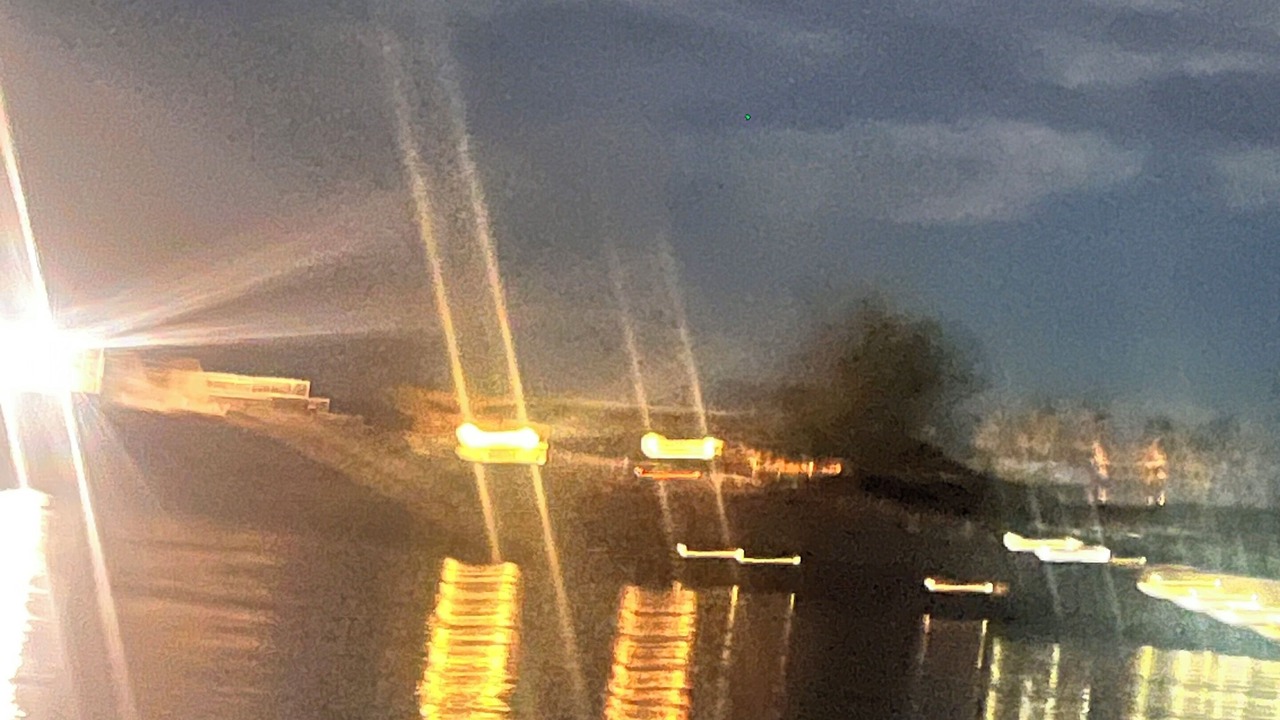 Photo of Others in Needles