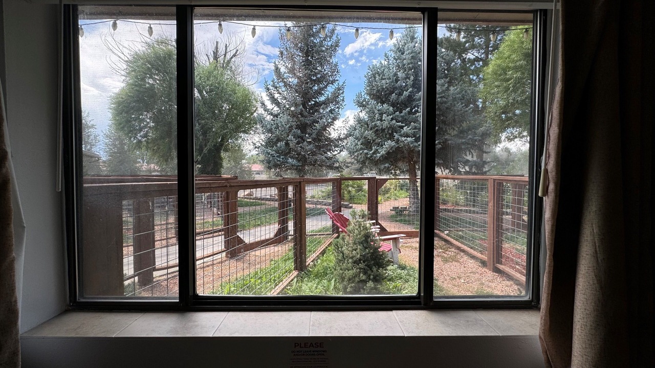Photo of Patio Balcony in Delta