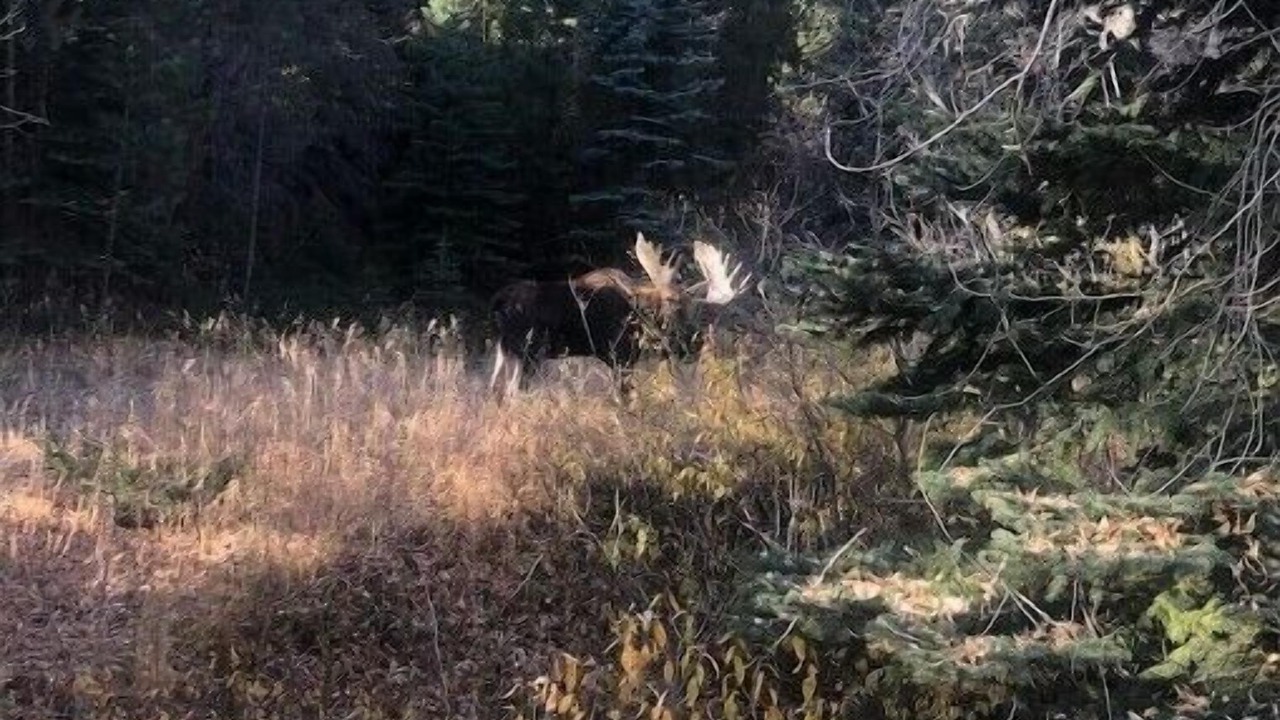 Photo of Others in Boulder