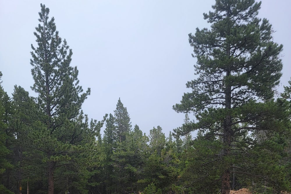 Photo of Outdoor in Black Hawk