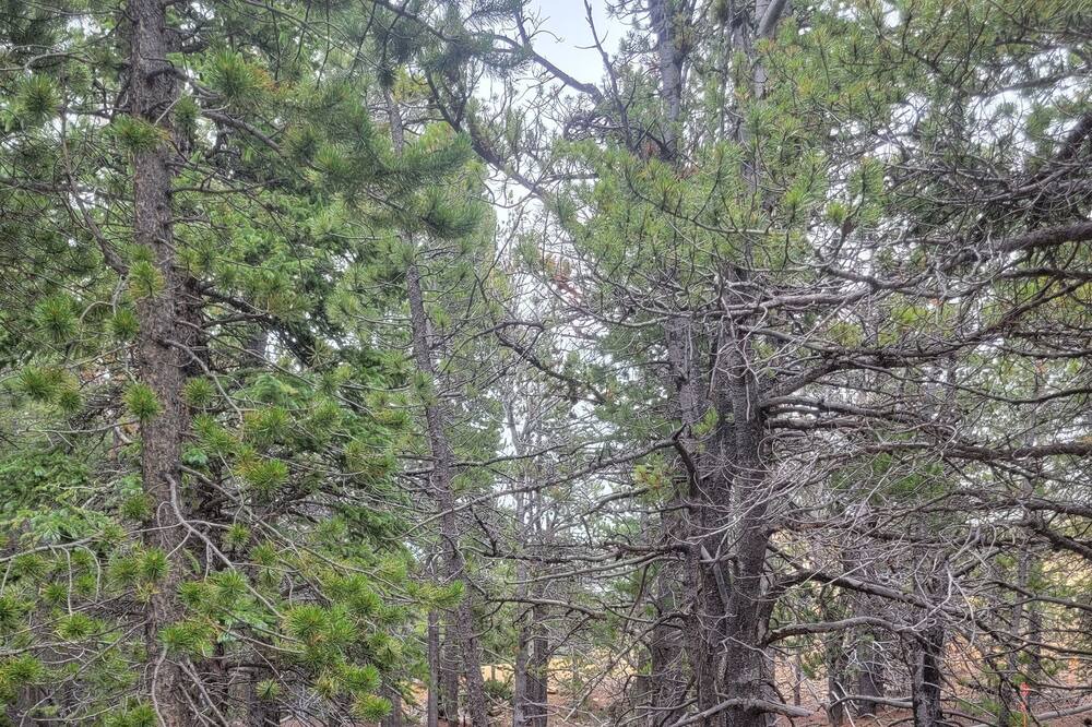 Photo of Outdoor in Black Hawk