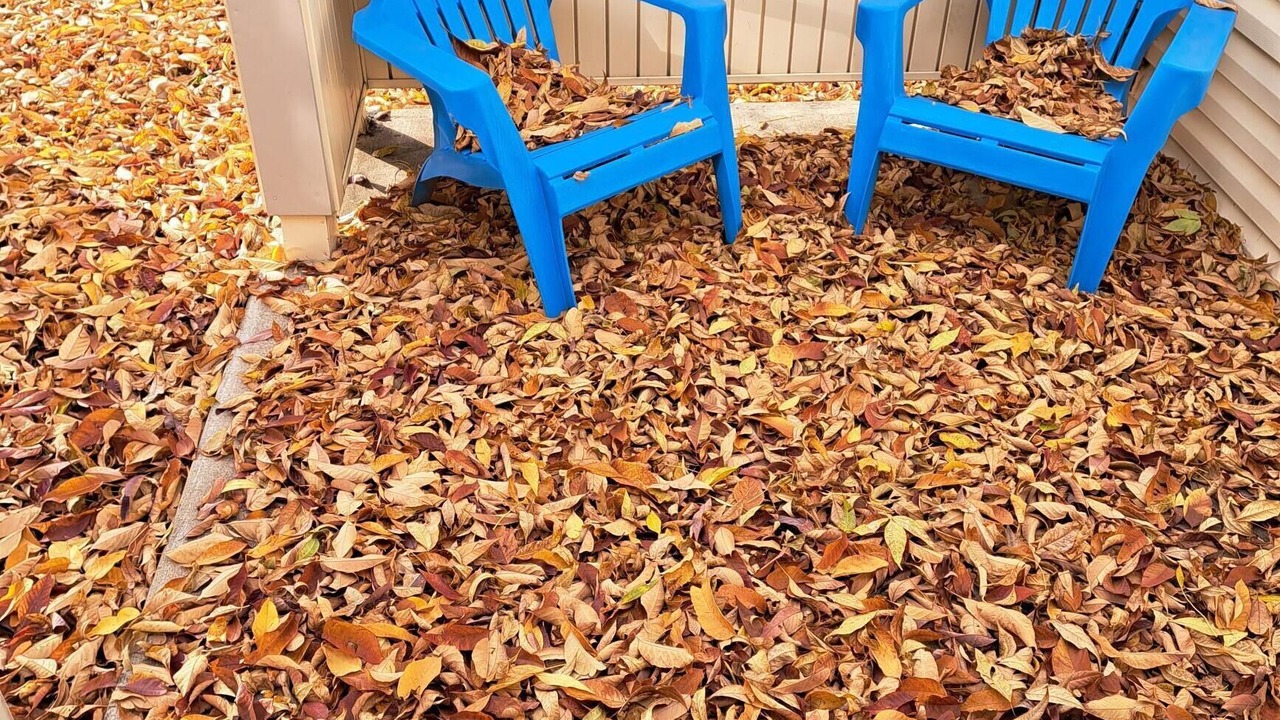 Photo of Outdoor in Lakewood