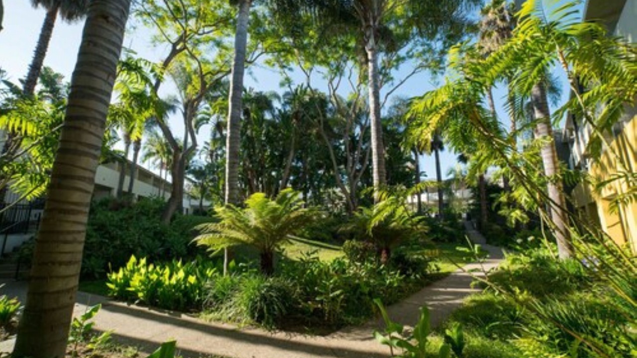 Photo of Outdoor in North State