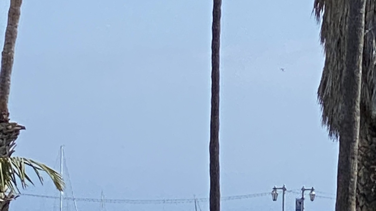 Photo of Others in West Beach