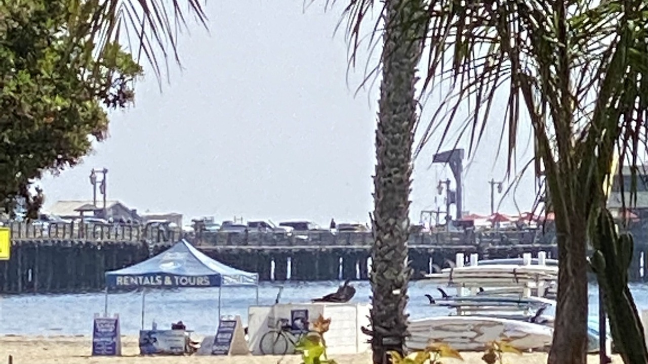 Photo of Others in West Beach