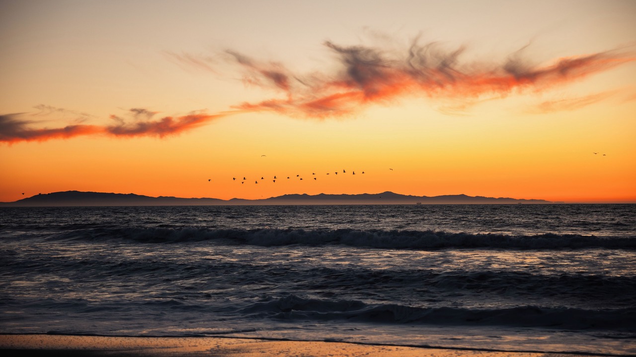 Photo of Others in Ventura