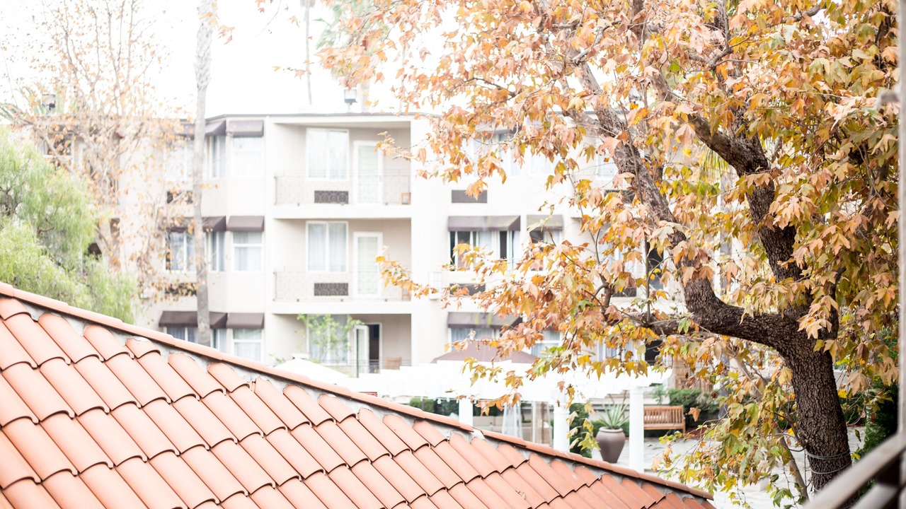 Photo of Outdoor in Tree Section