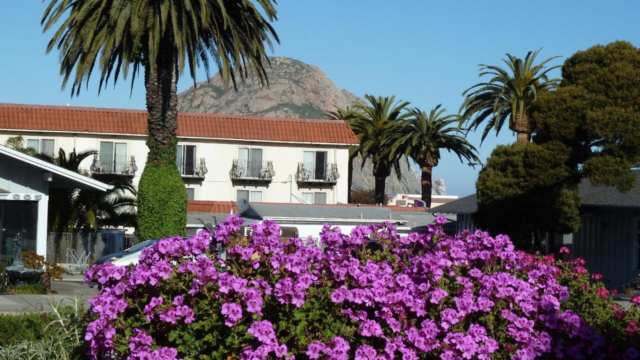 Photo of Outdoor in Morro Bay