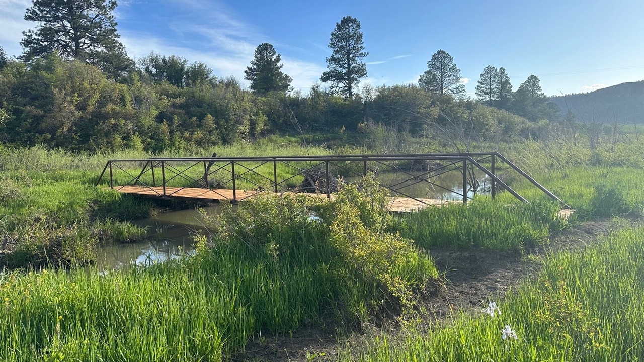 Photo of Bedroom in Mancos