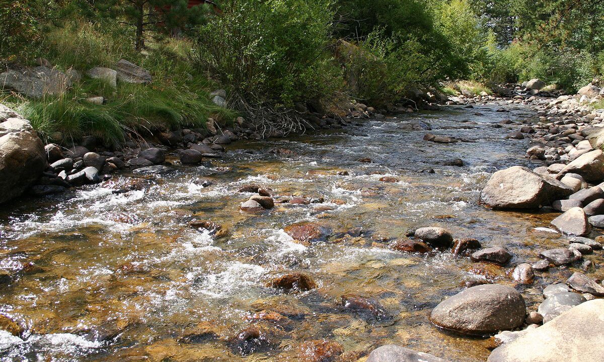 Photo of Others in Estes Park