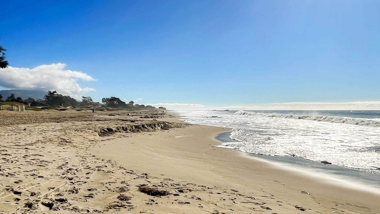 Photo of Others in Carpinteria