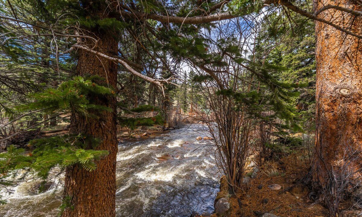 Photo of Others in Aspen Brook
